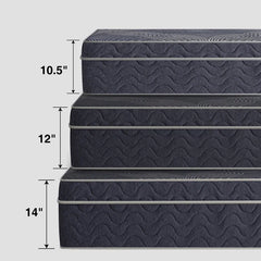 Wayfair Sleep™ 10.5" Medium Hybrid Mattress