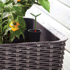 31.7 Gallon Raised Garden Bed Planter - Resin Wicker Elevated Planter with Water Indicator