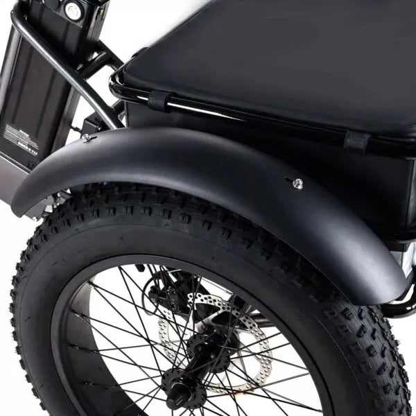 🏆Best Value – Electric Bike[750W]