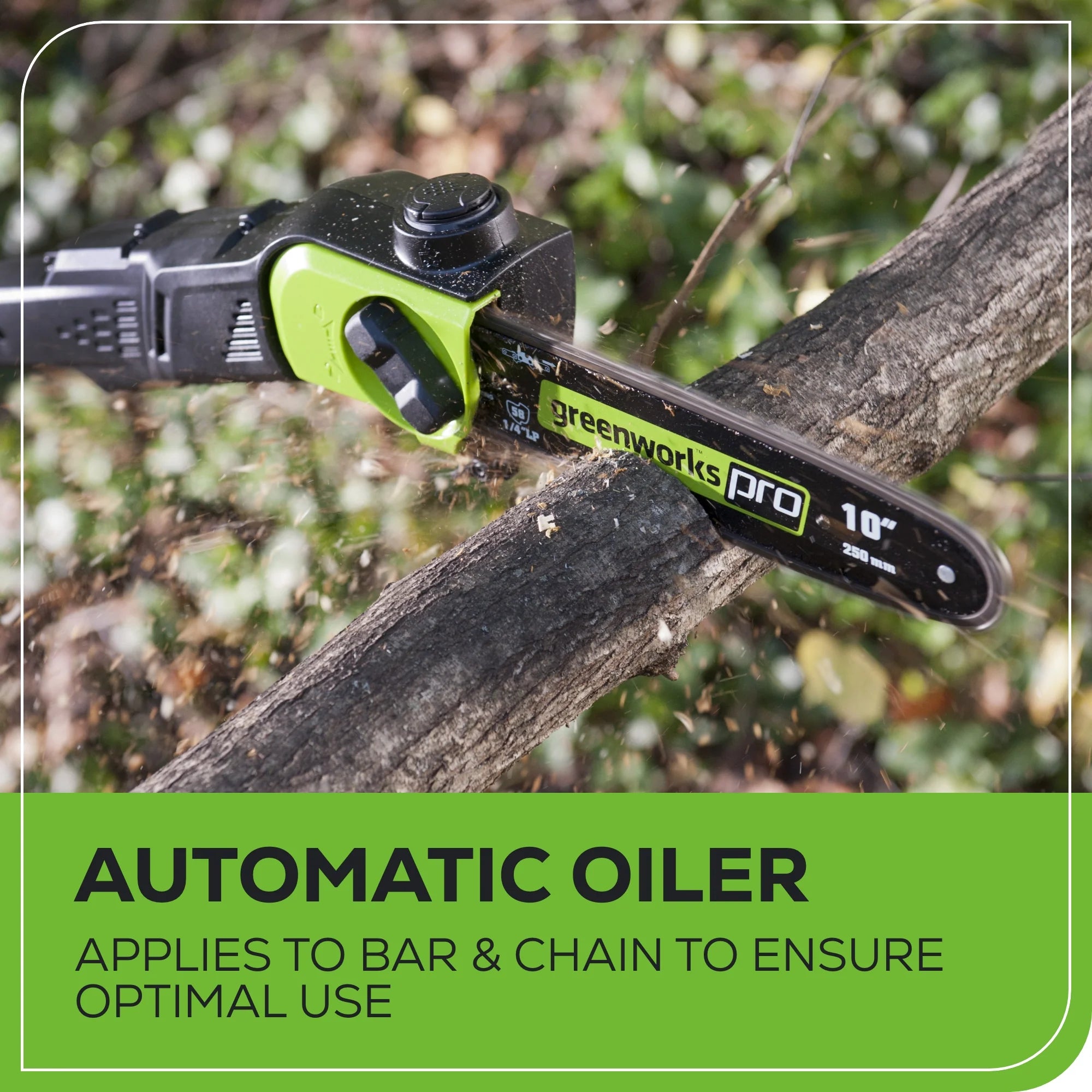 80V Cordless Pole Saw 10-Inch with 14-Foot Reach, 2.0Ah Battery and Charger