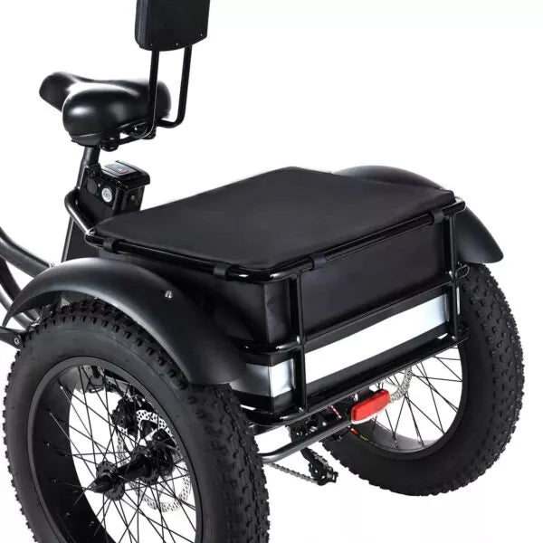 🏆Best Value – Electric Bike[750W]