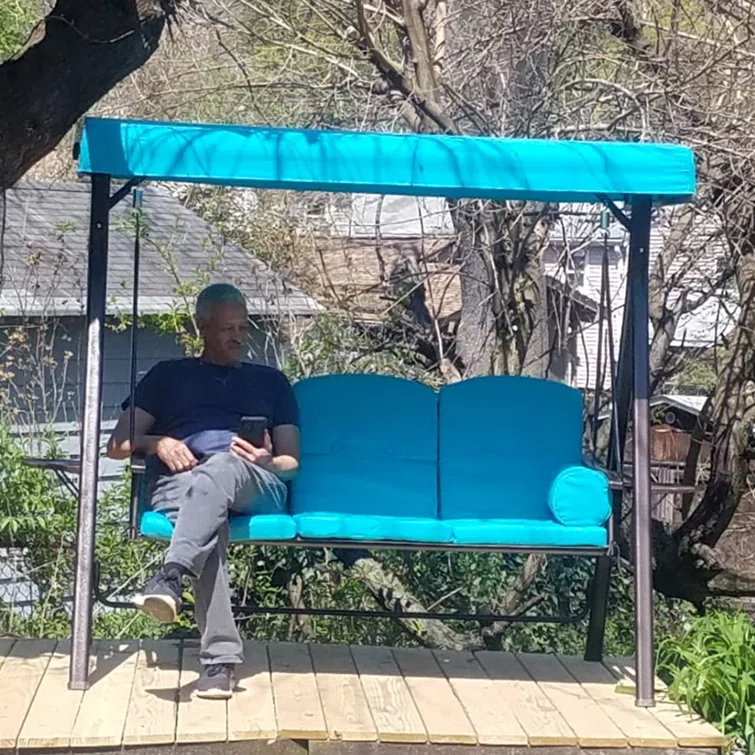 Brentley Porch Swing with Canopy