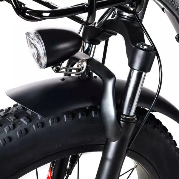 🏆Best Value – Electric Bike[750W]