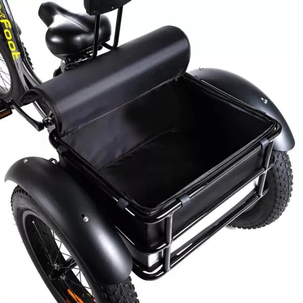 🏆Best Value – Electric Bike[750W]
