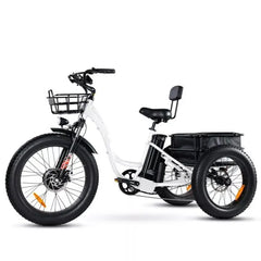 🏆Best Value – Electric Bike[750W]